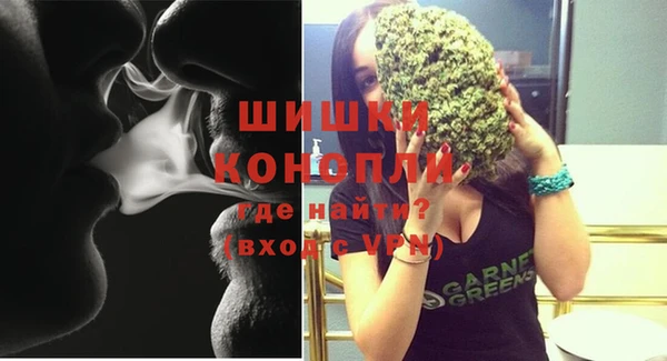 apvp Новозыбков