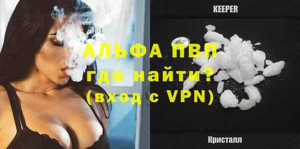 apvp Новозыбков