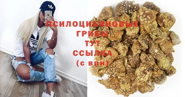 apvp Новозыбков