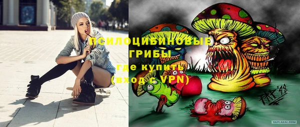 apvp Новозыбков