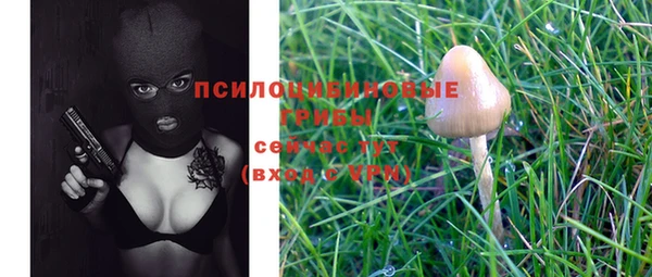 apvp Новозыбков