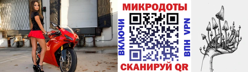 Галлюциногенные грибы Psilocybine cubensis  Янаул 